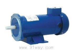 113ZYT/123ZYT系列出口專用永磁直流電機(jī)