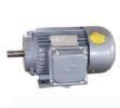 YDT100-315系列(IP44)變極多速三相異步電動(dòng)機(jī)
