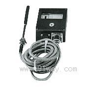 D541/7TZp|c(din)ضȿ