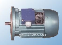 YS-J系列錐形轉(zhuǎn)子電動(dòng)機(jī)