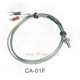CA-01F型防腐鉑熱電阻