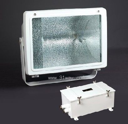 TG30船用投光燈