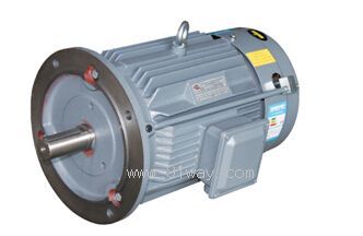 YE2GW80-180型耐高溫三相異步電動(dòng)機(jī)