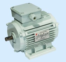 FSP12A-4,FSP12-4型變頻調(diào)速三相異步電動(dòng)機(jī)