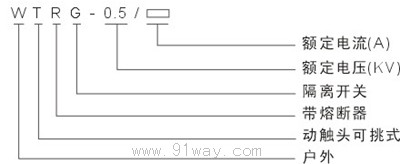 WTRG-0.5系列戶外熔斷器式隔離開關(guān)型號說明